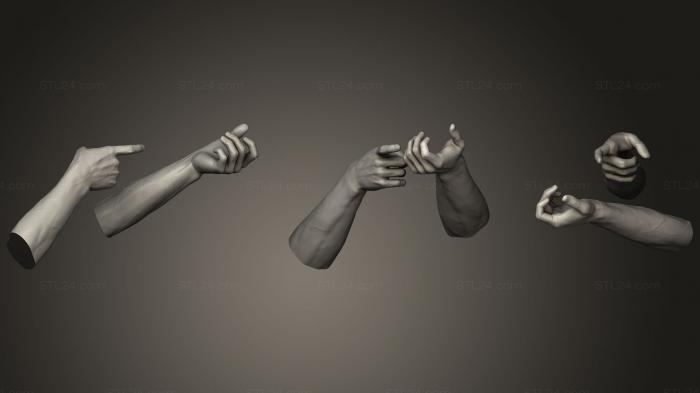 Anatomy of skeletons and skulls (Male Hands 10157, ANTM_0845) 3D models for cnc